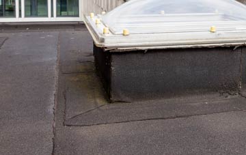disadvantages of Y Gribyn flat roofs
