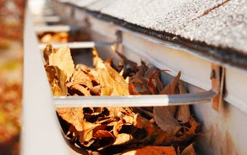 Y Gribyn gutter cleaning companies
