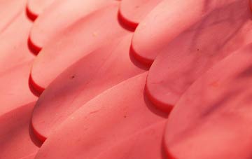 Y Gribyn plastic roof costs