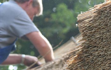 professional Y Gribyn thatchers