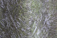 Y Gribyn fibreglass roof work