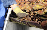 Y Gribyn gutter cleaners