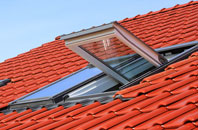 Y Gribyn roof window
