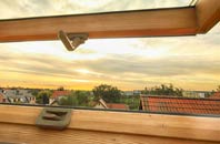 rated Y Gribyn roof window companies